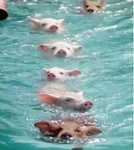 wps_clip_image-31355.png